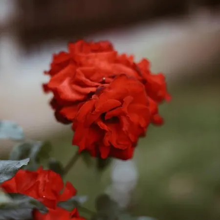 Lejlighed Aisha And Fatih *